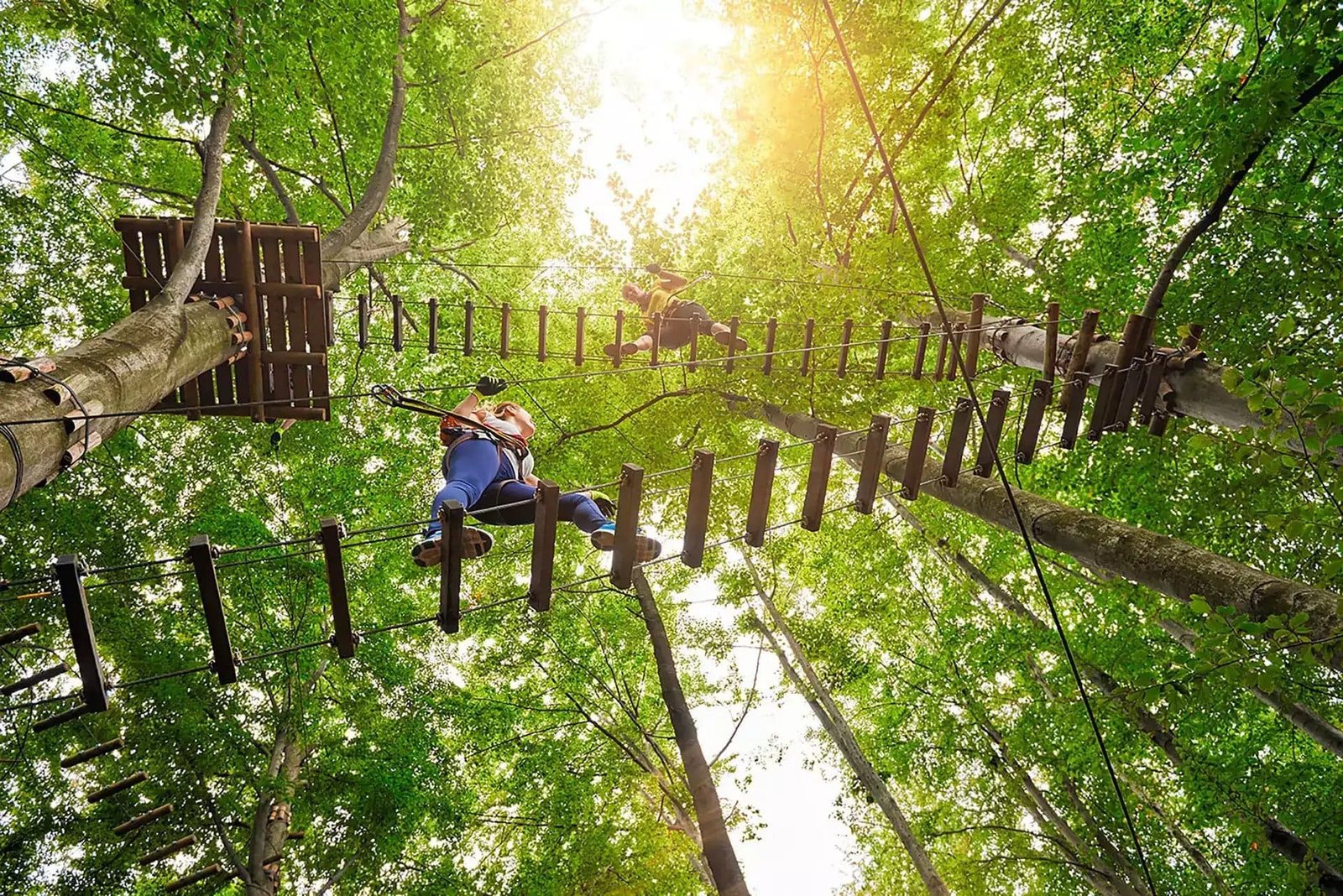 accrobranche namur natura parc